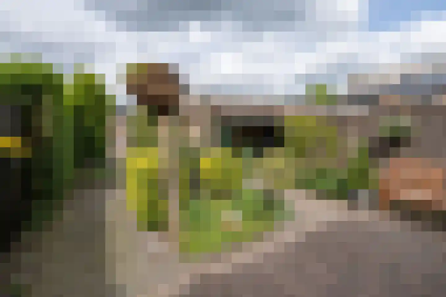 Cannenburg 44 Barneveld thumbnail 46