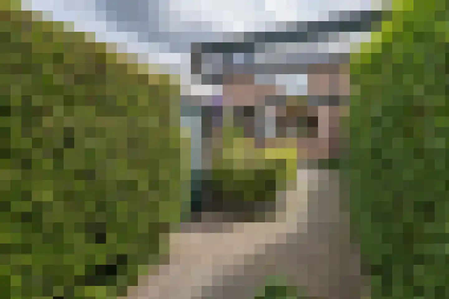 Cannenburg 44 Barneveld thumbnail 47