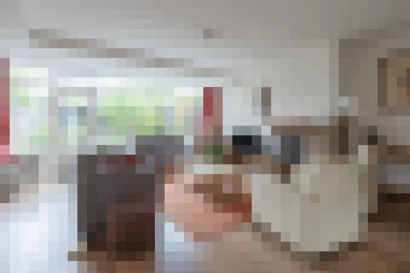 Cannenburg 44 Barneveld thumbnail 7