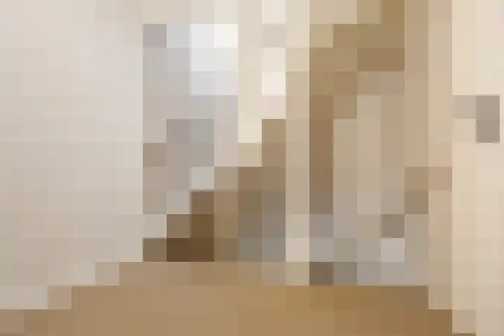 Cannenburg 50 Barneveld thumbnail 17