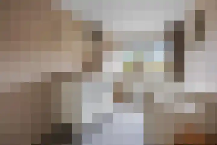 Cannenburg 50 Barneveld thumbnail 22
