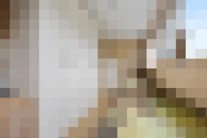 Cannenburg 50 Barneveld thumbnail 31