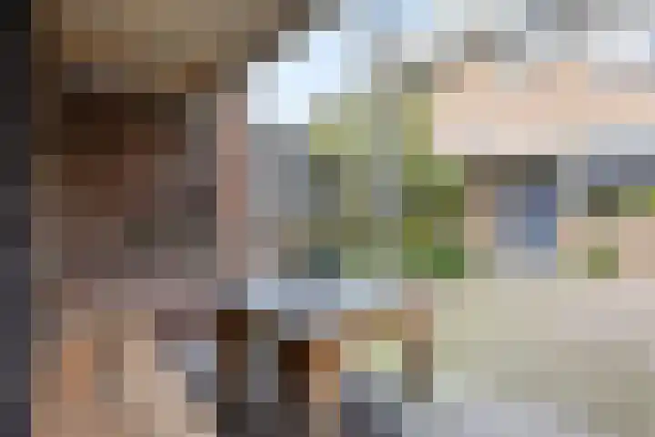 Cannenburg 50 Barneveld thumbnail 33