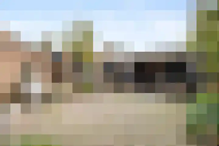 Cannenburg 50 Barneveld thumbnail 34