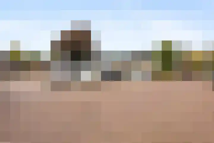 Cannenburg 50 Barneveld thumbnail 37