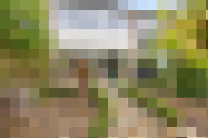 Cannenburg 50 Barneveld thumbnail 38