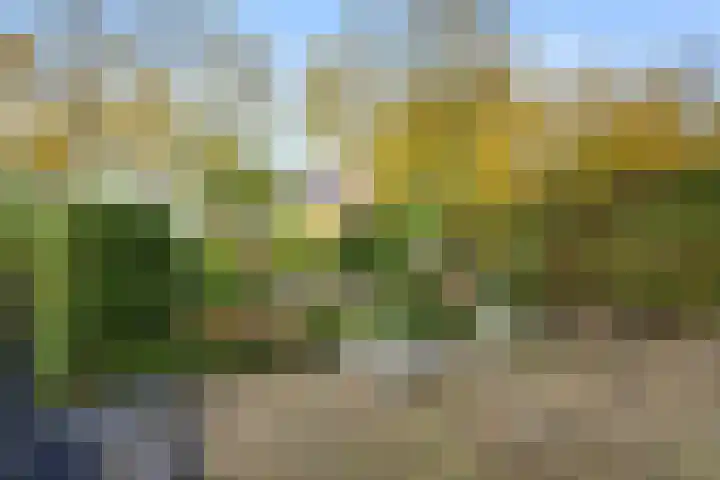 Cannenburg 50 Barneveld thumbnail 39