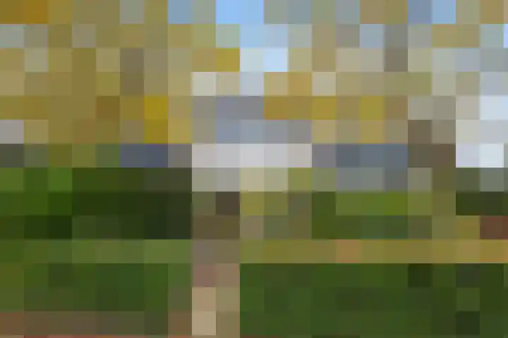 Cannenburg 50 Barneveld thumbnail 4