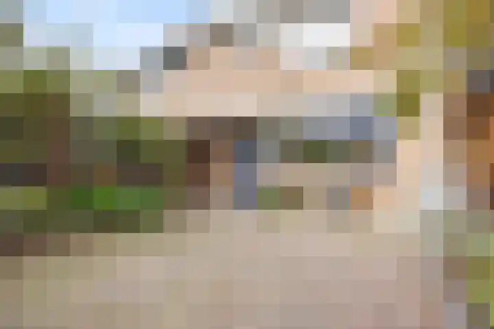 Cannenburg 50 Barneveld thumbnail 5