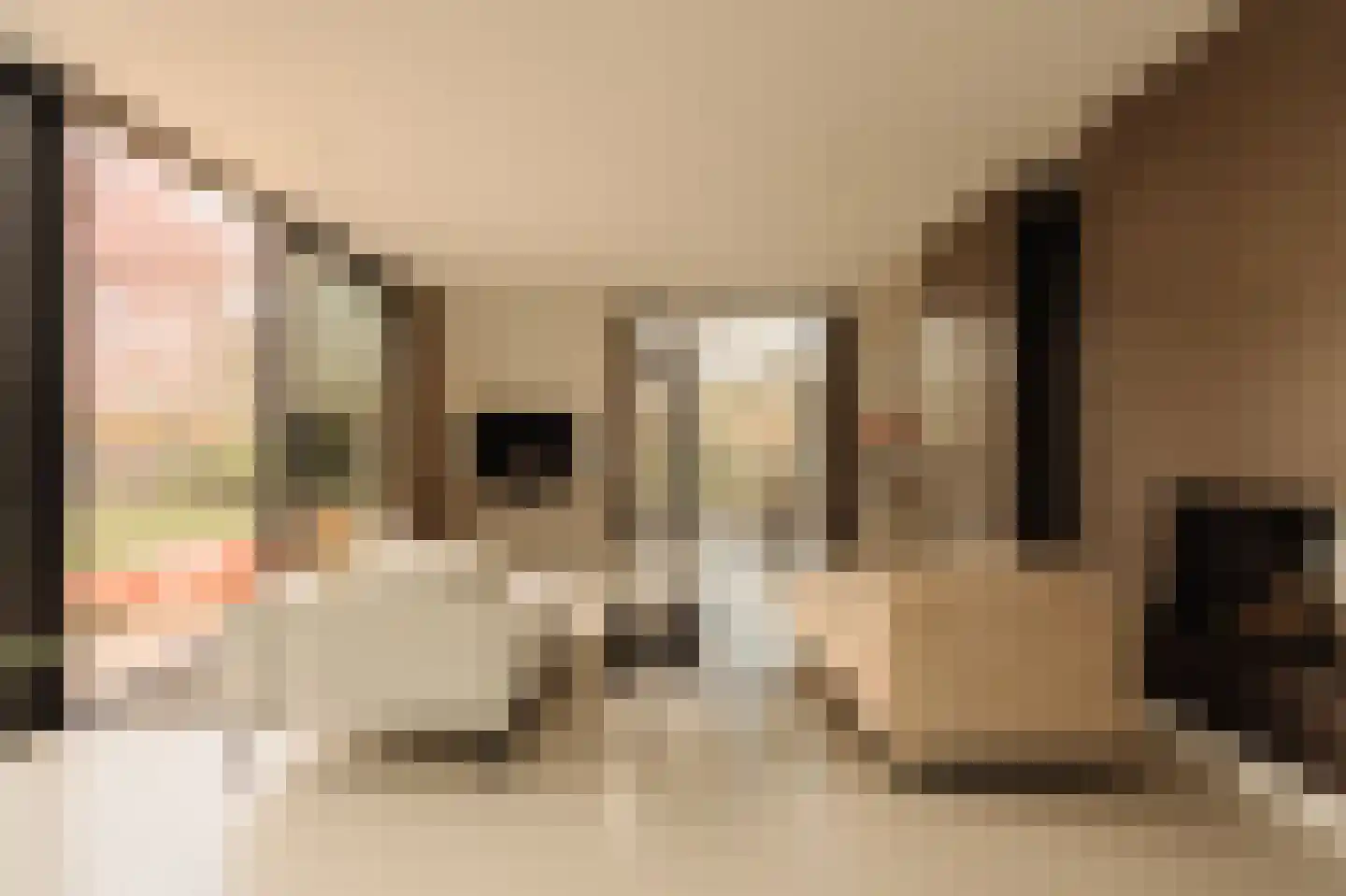 Cannenburg 51 Amsterdam thumbnail 16