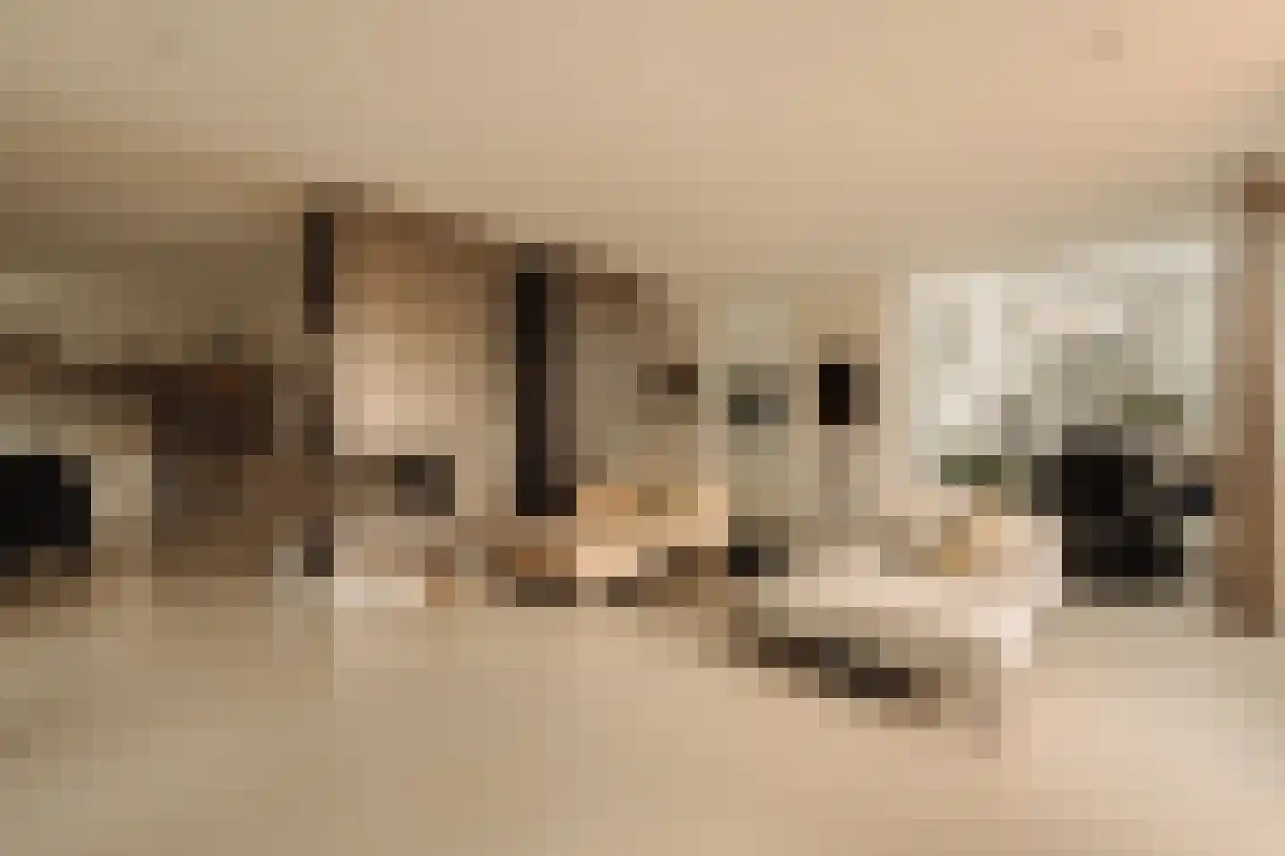 Cannenburg 51 Amsterdam thumbnail 4