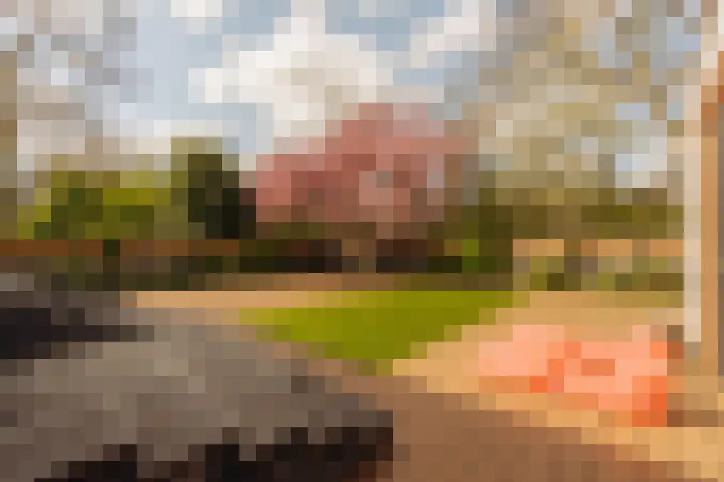 Cannenburg 51 Amsterdam thumbnail 42