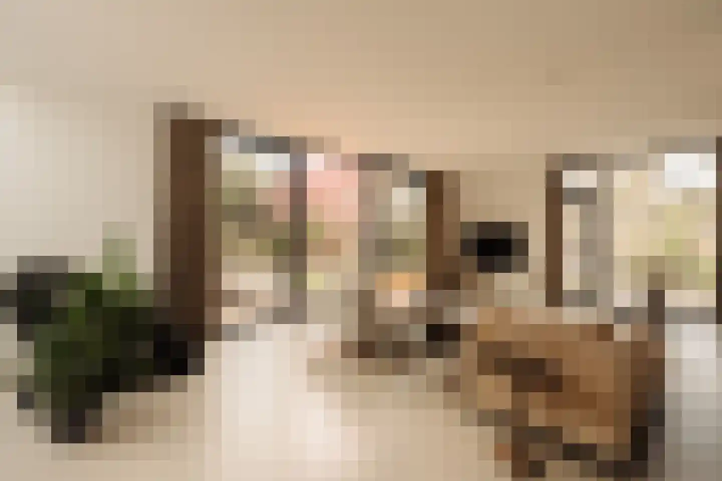 Cannenburg 51 Amsterdam thumbnail 9