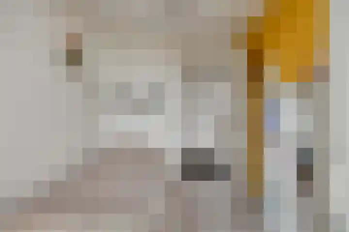 Cannenburg 6 Barneveld thumbnail 22