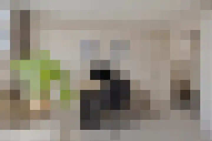 Cannenburg 6 Barneveld thumbnail 24
