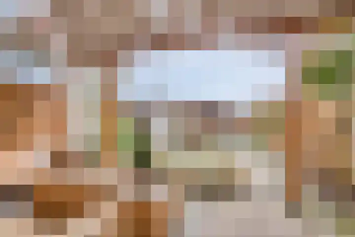 Cannenburg 6 Barneveld thumbnail 29