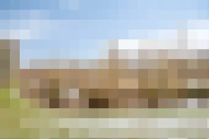 Cannenburg 6 Barneveld thumbnail 34