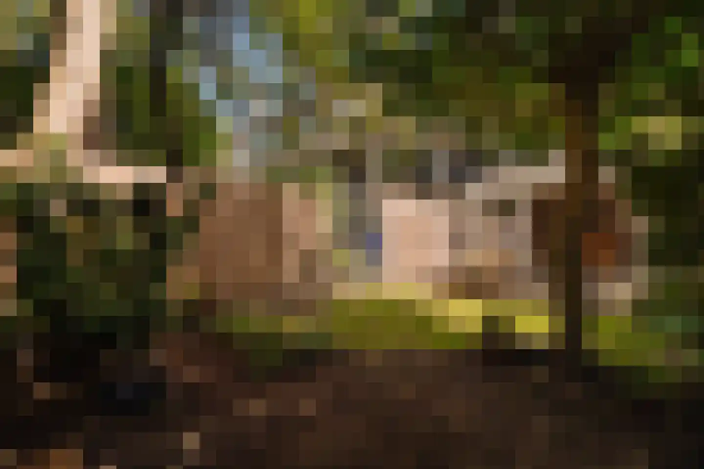 Cannenburg 60 Amsterdam thumbnail 11