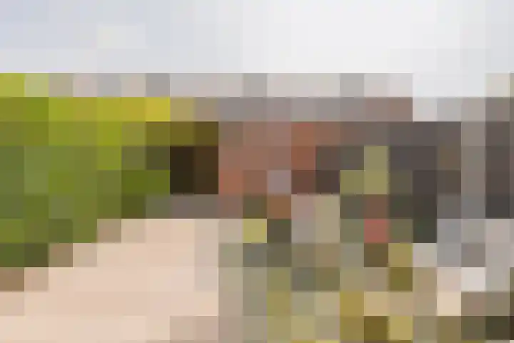 Cannenburg 64 Hoofddorp thumbnail 15