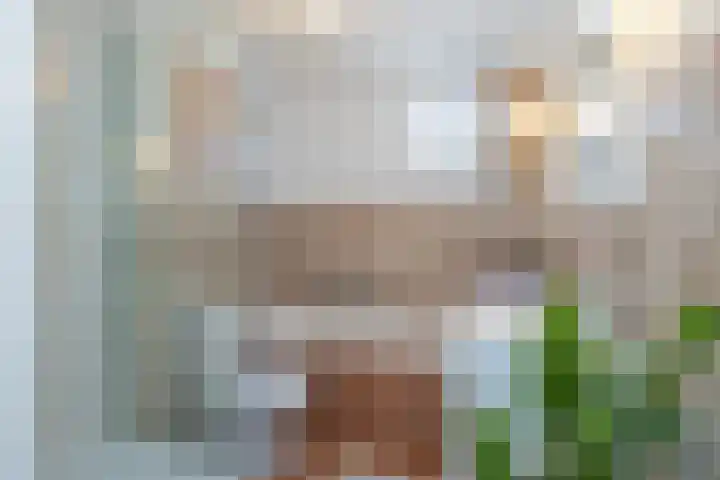 Cannenburg 64 Hoofddorp thumbnail 20
