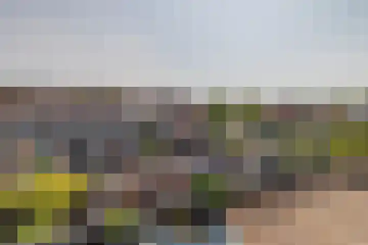 Cannenburg 64 Hoofddorp thumbnail 29