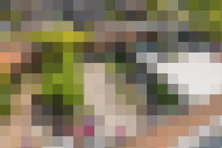 Cannenburg 64 Hoofddorp thumbnail 30