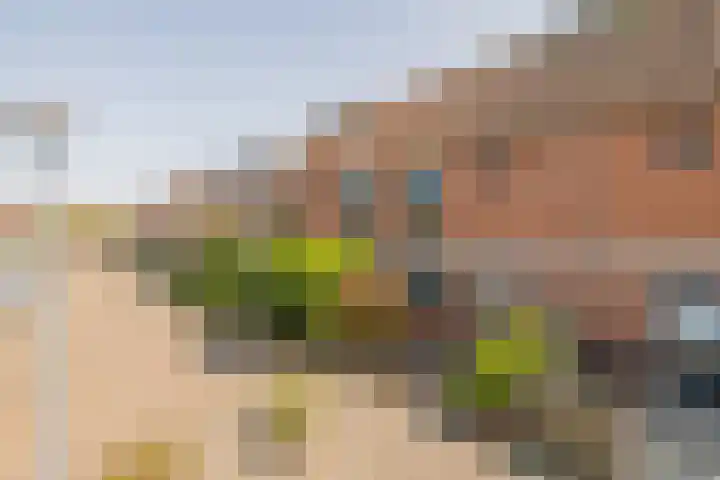 Cannenburg 64 Hoofddorp thumbnail 31