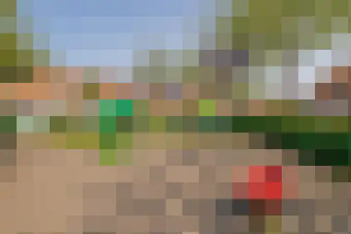 Cannenburg 64 Hoofddorp thumbnail 32