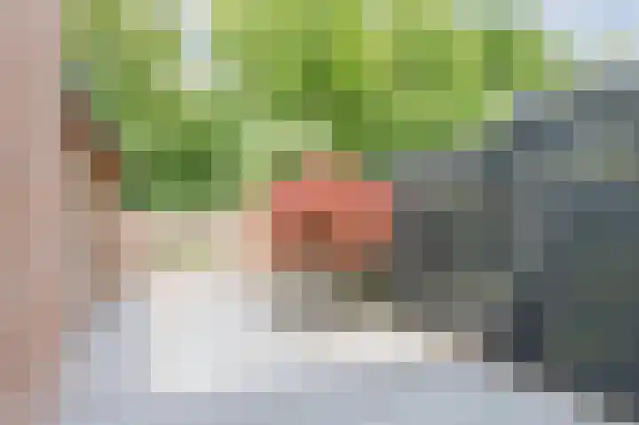 Cannenburg 79 Hoofddorp thumbnail 23