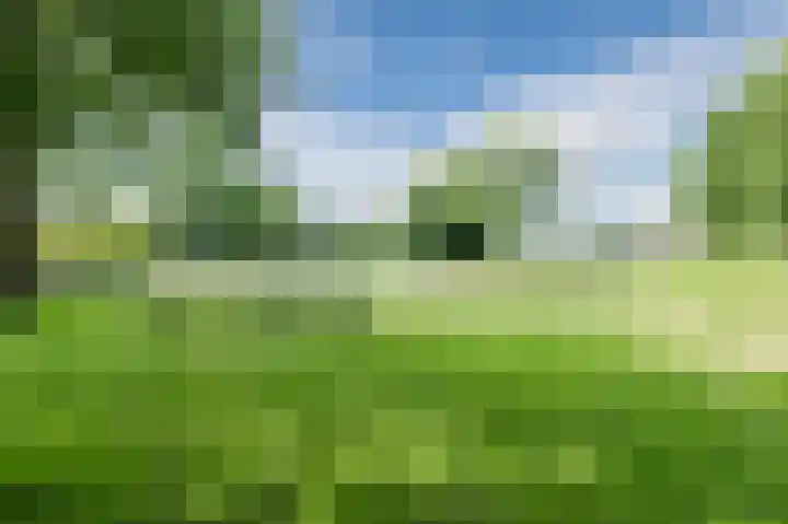 Cannenburg 79 Hoofddorp thumbnail 29