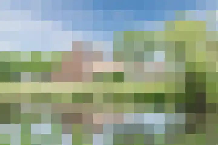 Cannenburg 79 Hoofddorp thumbnail 30