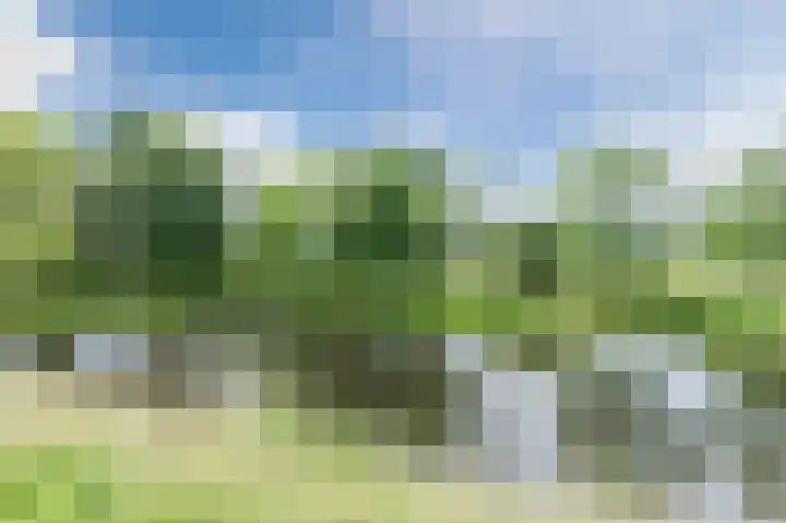 Cannenburg 79 Hoofddorp thumbnail 31