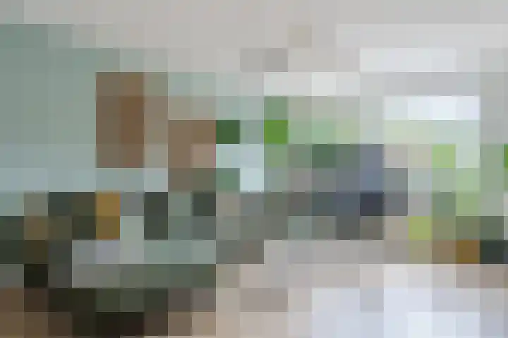 Cannenburg 79 Hoofddorp thumbnail 9