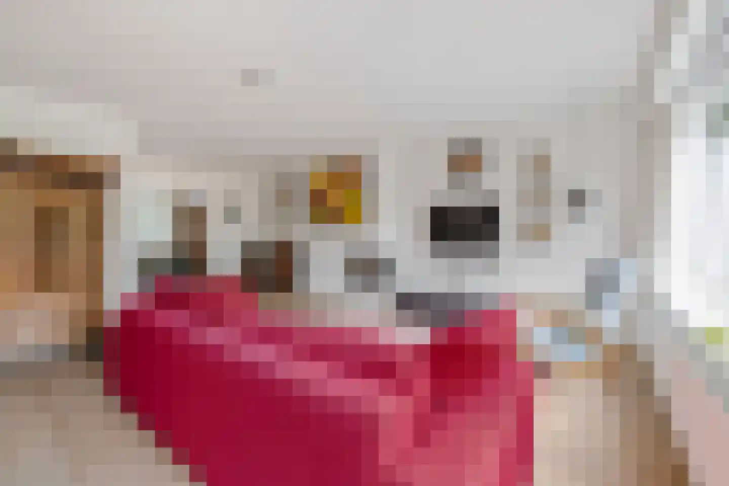 Cannenburg 80 Amsterdam thumbnail 13