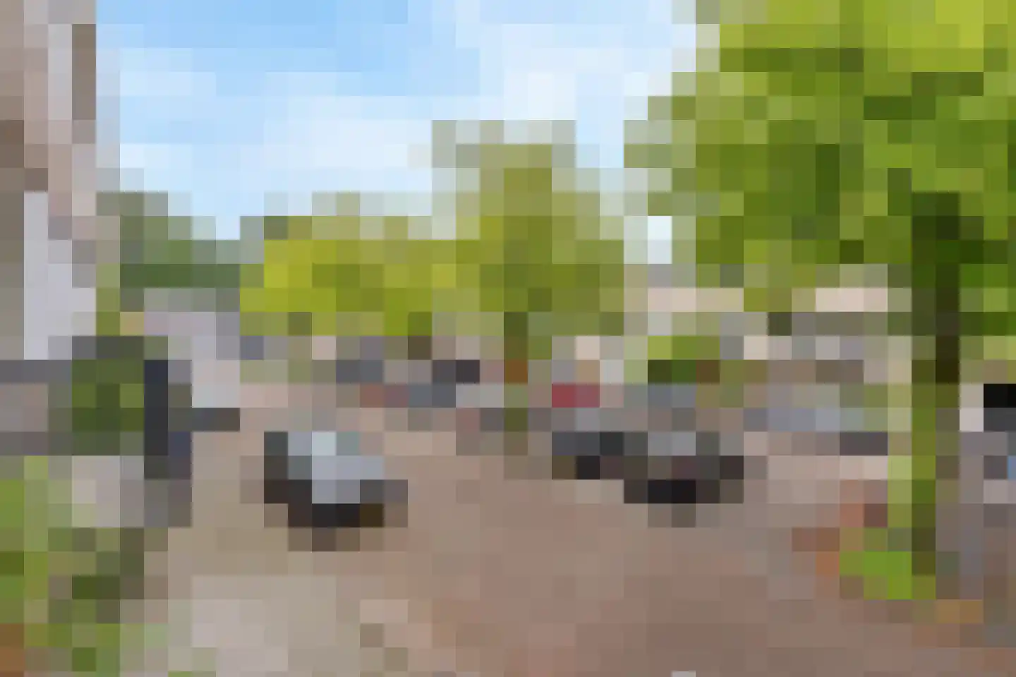 Cannenburg 80 Amsterdam thumbnail 26