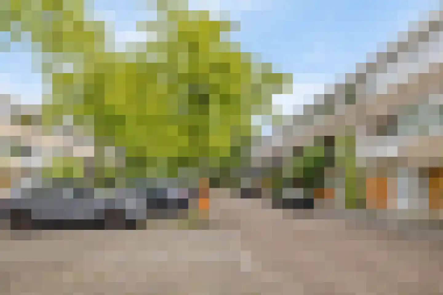 Cannenburg 80 Amsterdam thumbnail 38