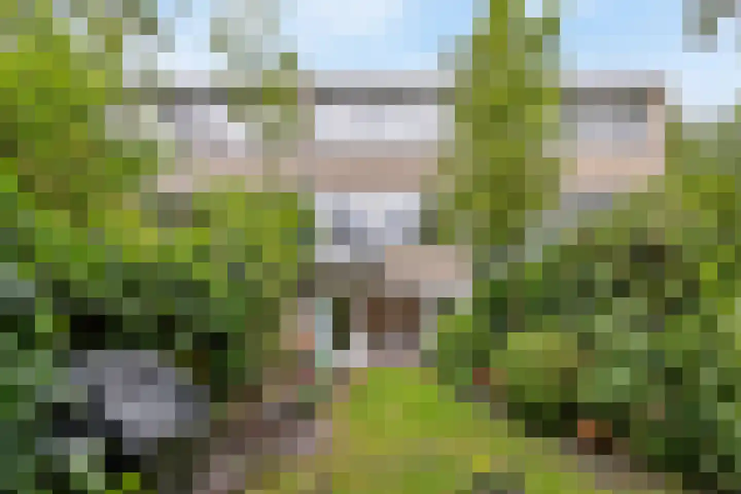 Cannenburg 80 Amsterdam thumbnail 9