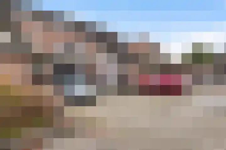 Cannenburg 98 Dordrecht thumbnail 8