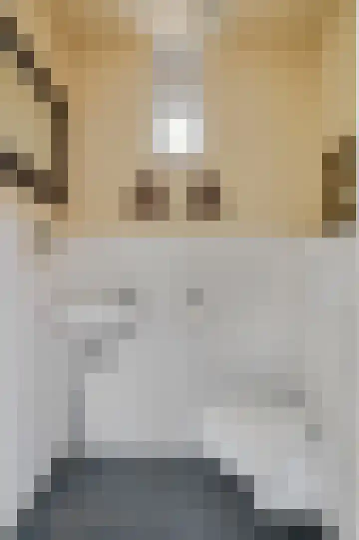 Cannenburgerbos 14 Ede thumbnail 11