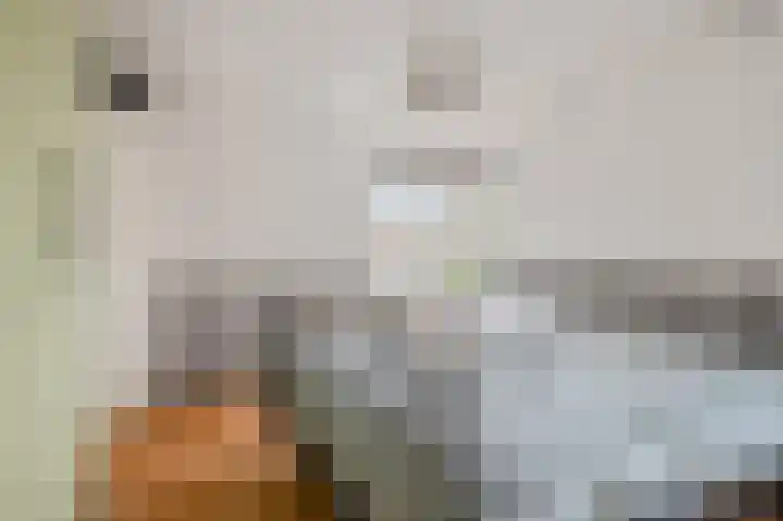 Cannenburgerbos 14 Ede thumbnail 14