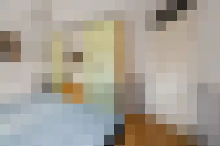 Cannenburgerbos 14 Ede thumbnail 15
