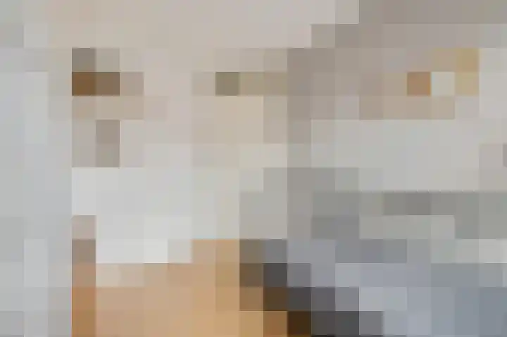 Cannenburgerbos 14 Ede thumbnail 18