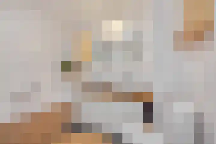 Cannenburgerbos 14 Ede thumbnail 22