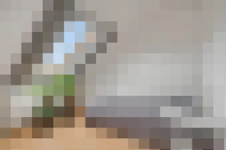 Cannenburgerbos 14 Ede thumbnail 27