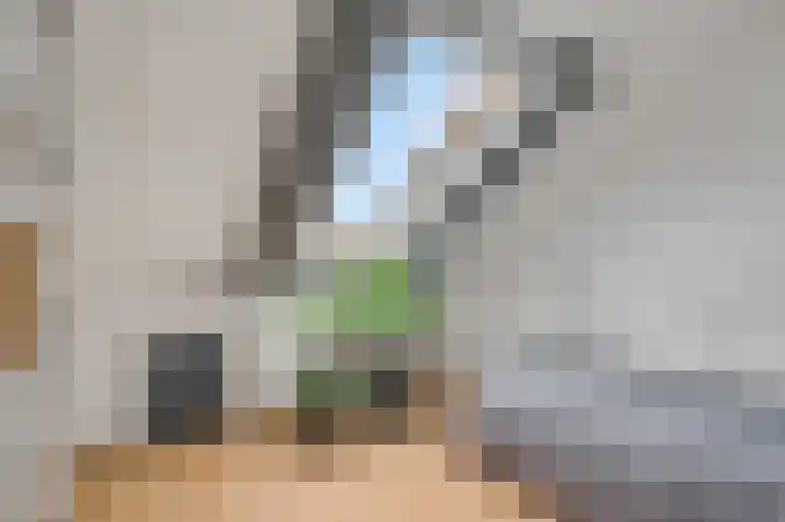 Cannenburgerbos 14 Ede thumbnail 28