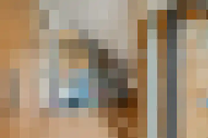Cannenburgerbos 14 Ede thumbnail 29
