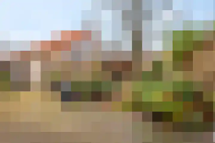 Cannenburgerbos 14 Ede thumbnail 30