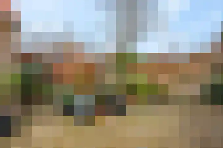 Cannenburgerbos 14 Ede thumbnail 31