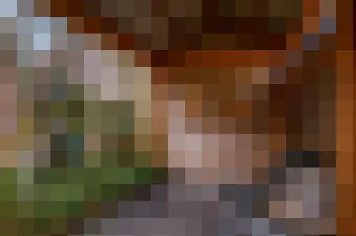Cannenburgerbos 14 Ede thumbnail 32