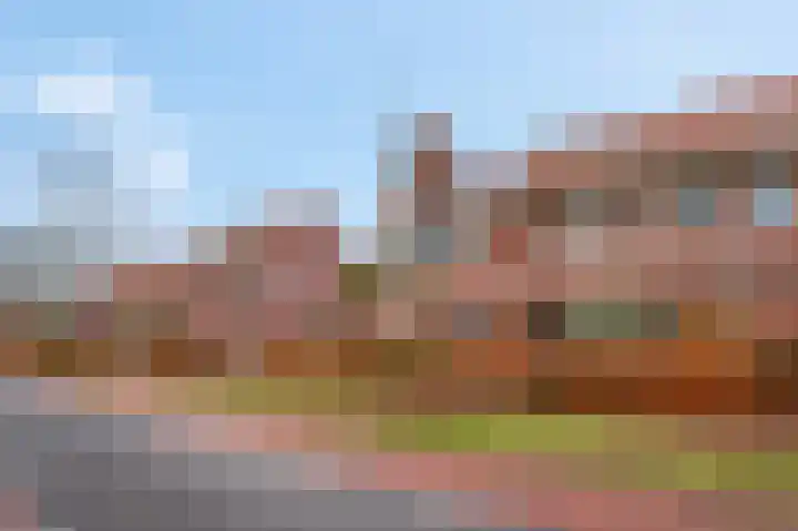 Cannenburgerbos 14 Ede thumbnail 36